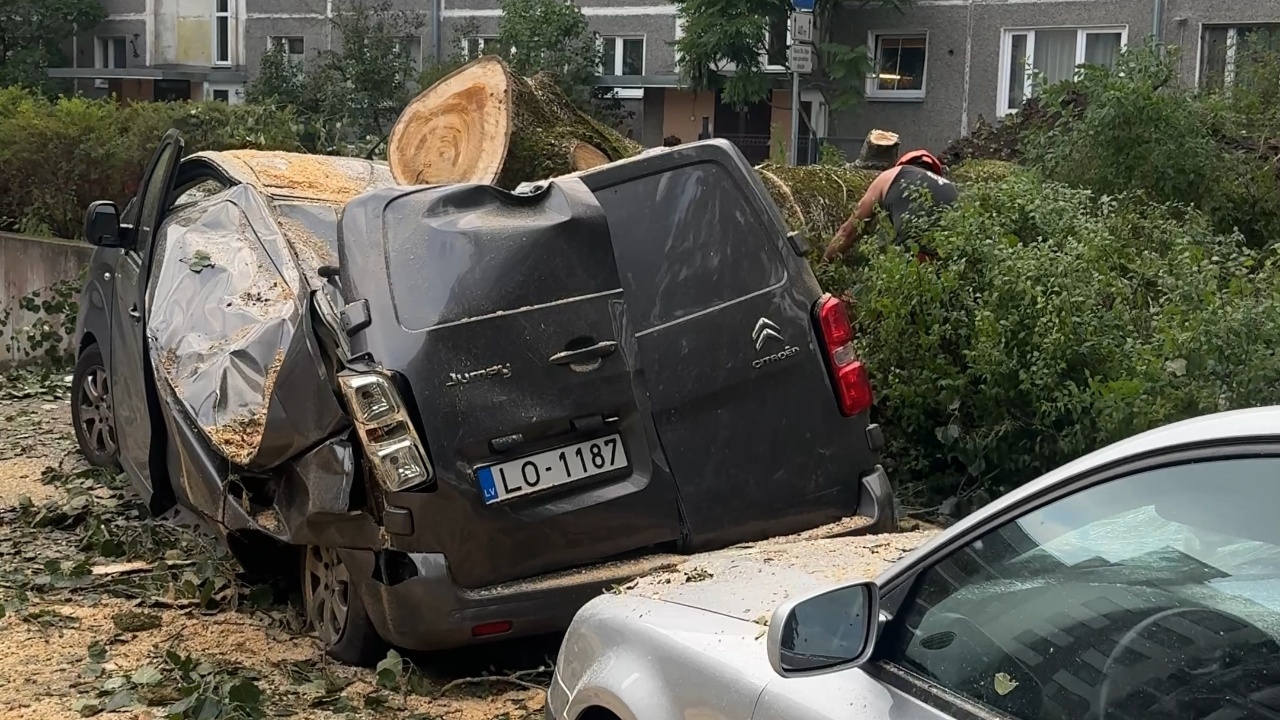 Windstorm in Latvia crushes car under falling tree