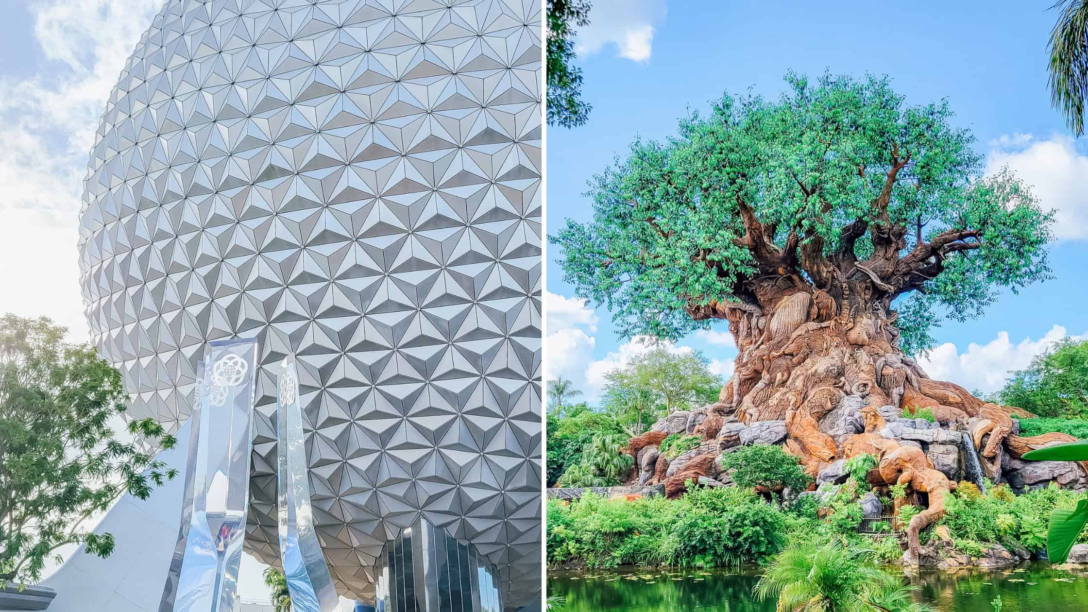 Epcot vs. Animal Kingdom: Which Disney park should you visit?