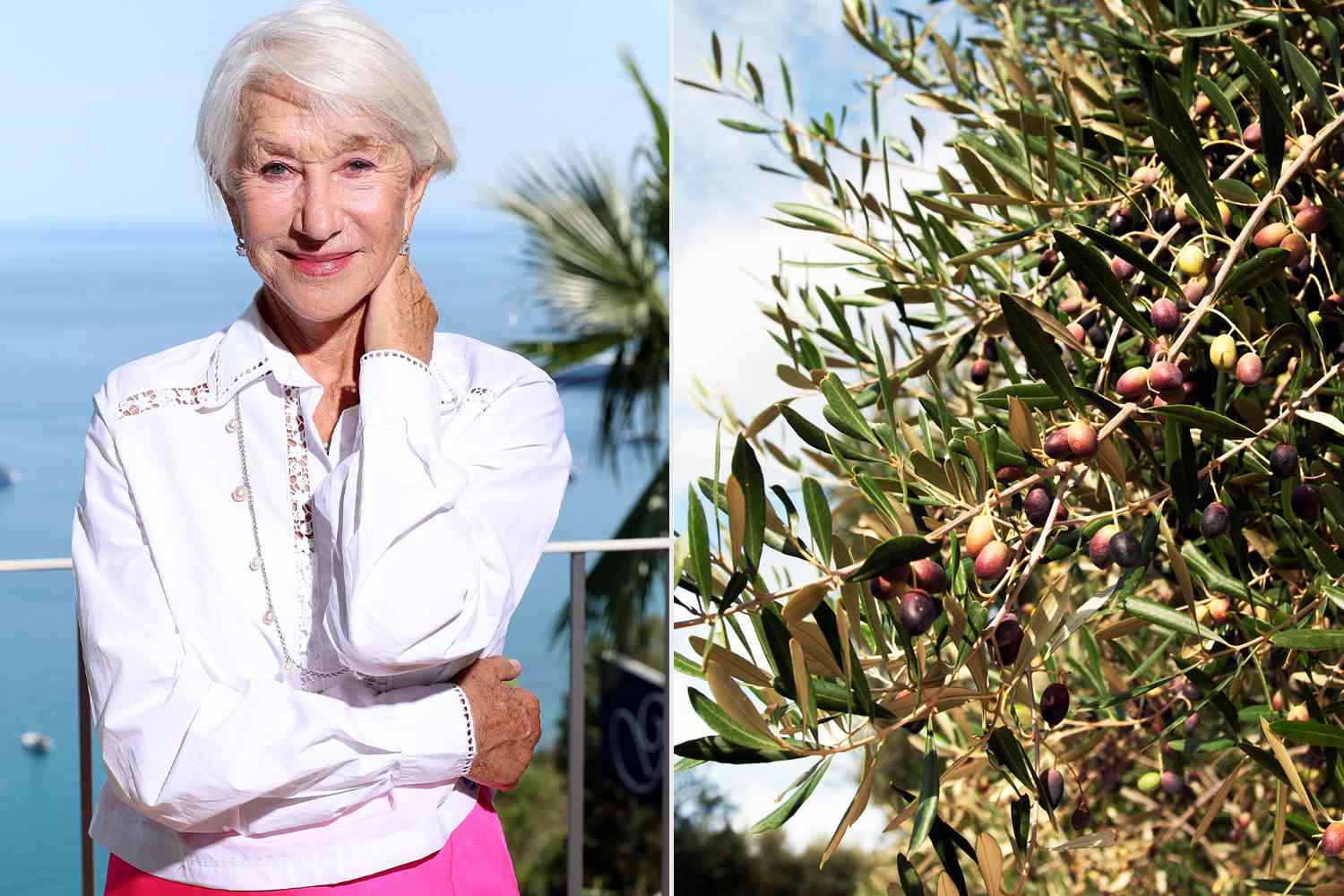 Inside Helen Mirren’s fight to save 1,500-year-old olive trees in Italy ...