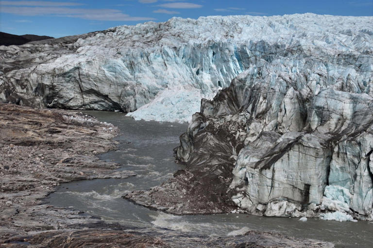 'It's just incredible': The 6 strangest discoveries experts have made ...