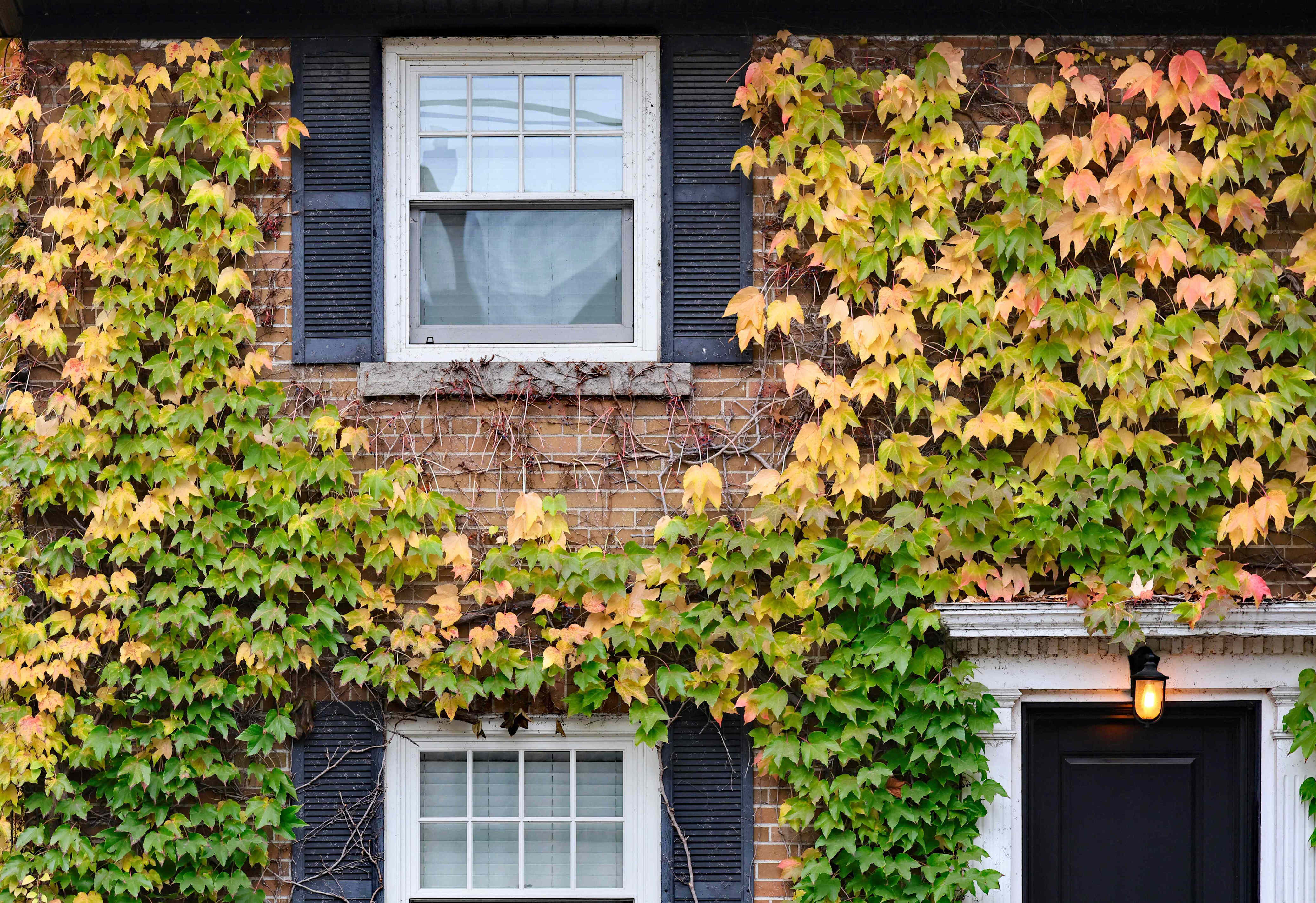 Why cleaning your windows in October offers better results and easier ...