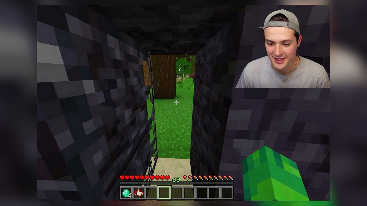 Minecraft zoo gets YouTuber-themed exhibits