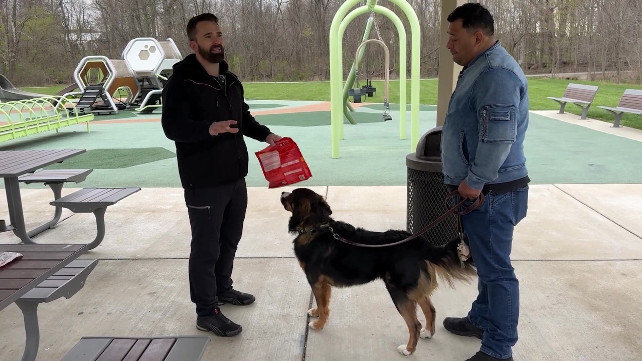 How food luring teaches a dog to sit