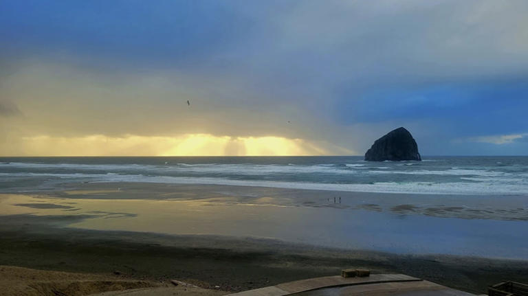 Nestled on the Pacific Northwest coast is a scenic state park with ...