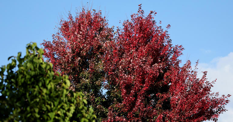 Cleveland forecast: Sunny skies and upper 60s through the weekend