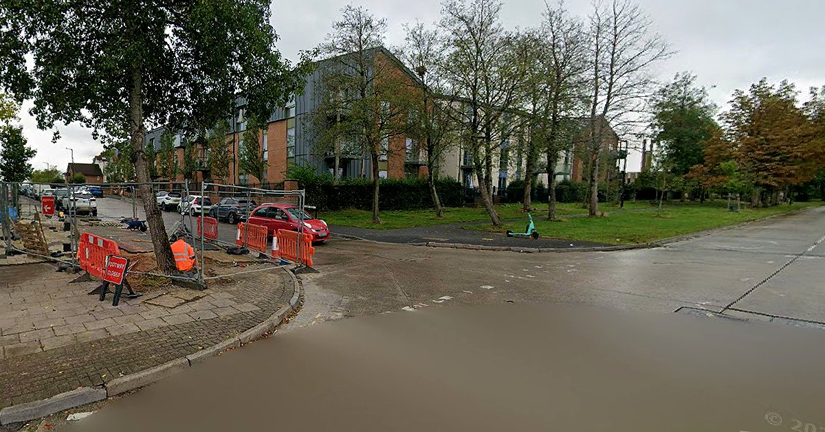 Man in 70s and his dog die after being hit by bus