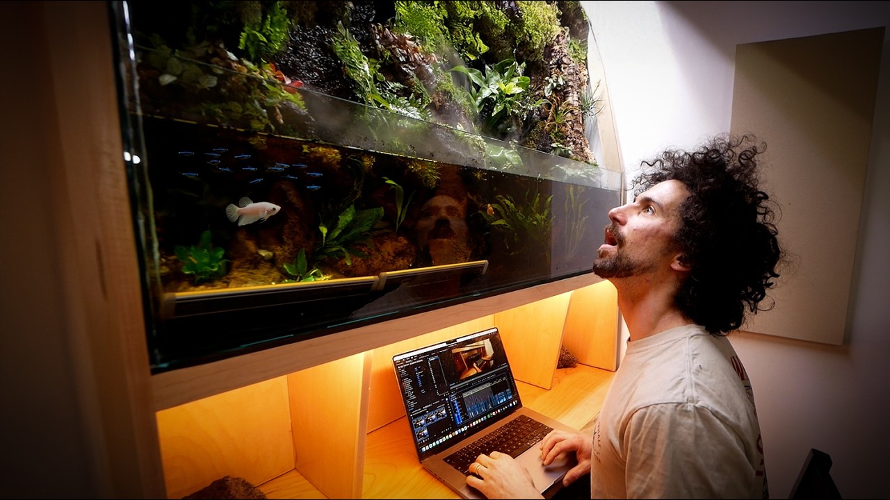 I built a desk with a rainforest inside