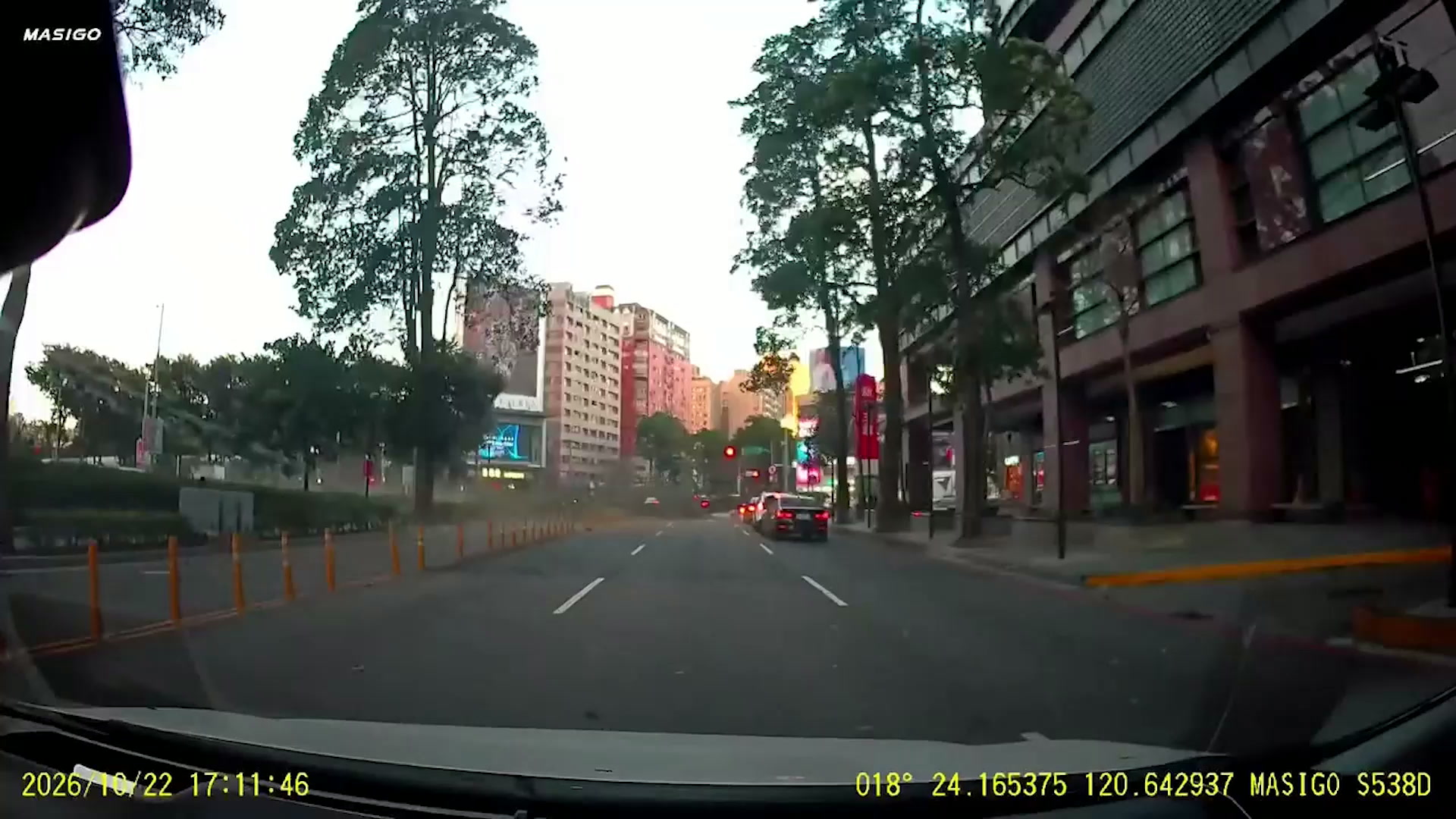 Dashcam captures massive tree crushing moving car as Typhoon Champi ...