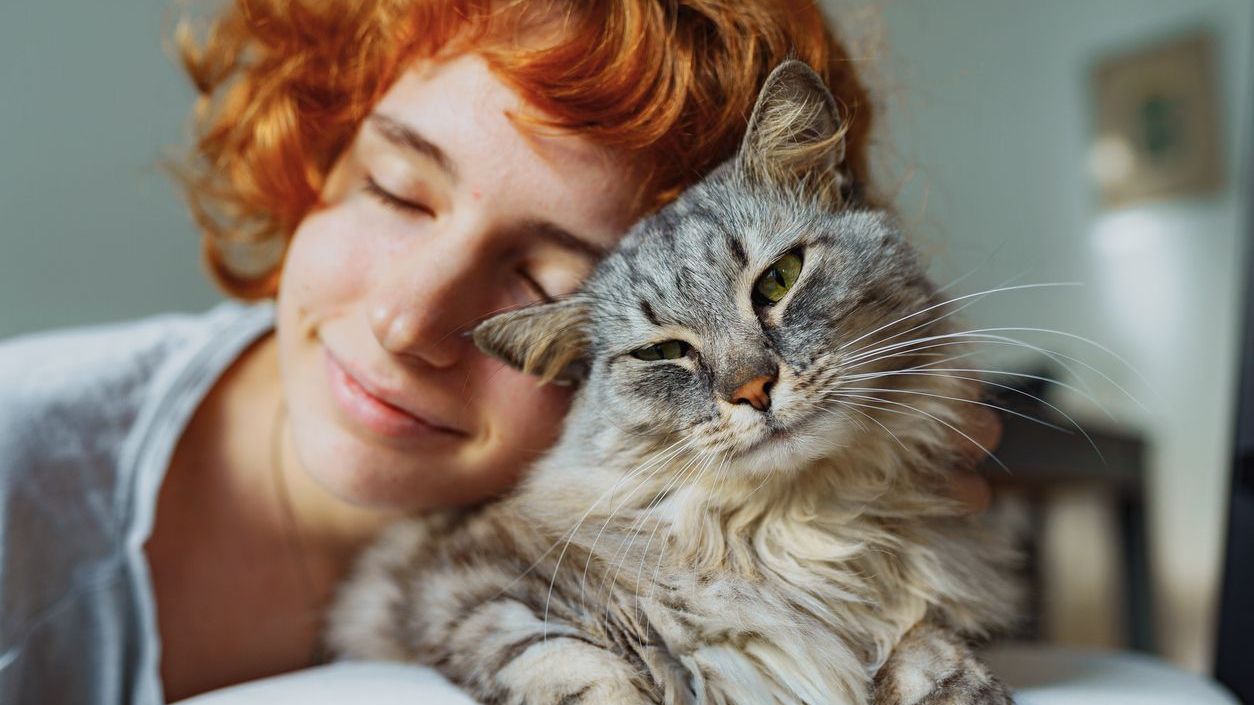 Cat happiness directly linked to owner’s happiness, study finds