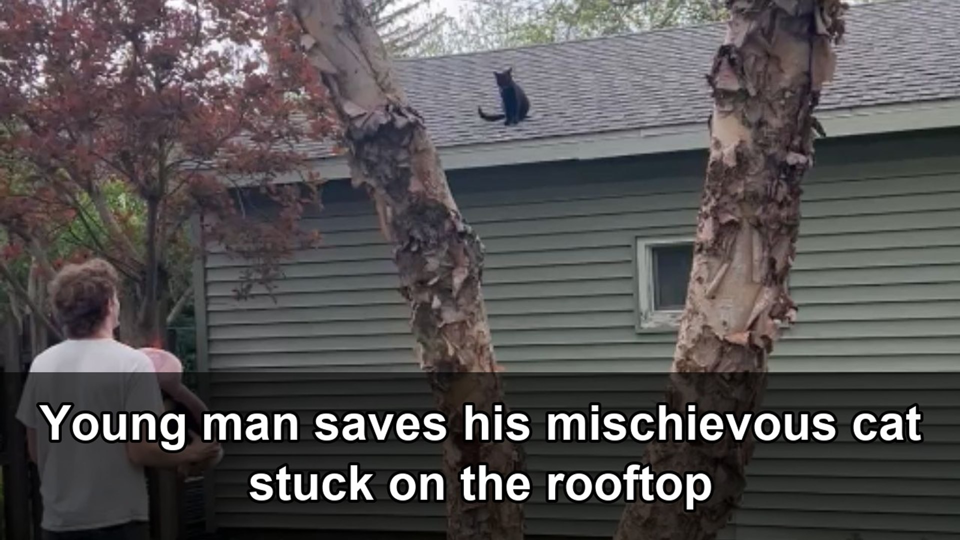 Young man rescues his adventurous cat stranded on the rooftop
