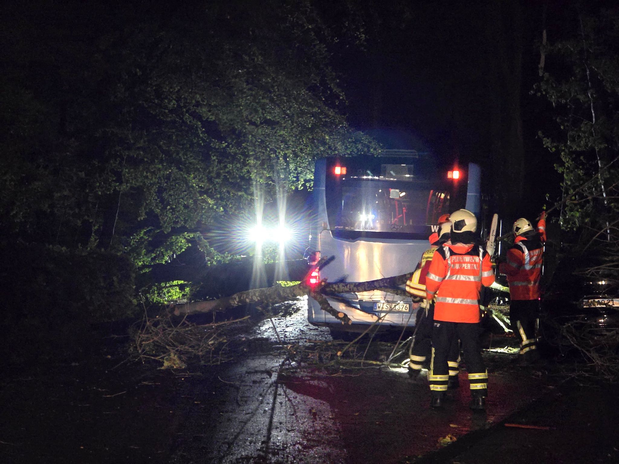 Injuries and damage after Germany hit by first autumn storm