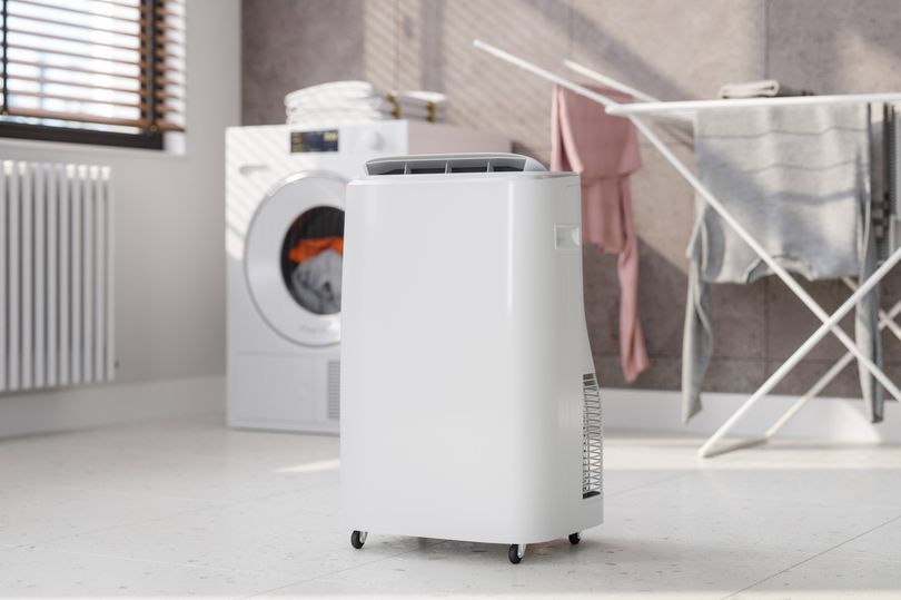 Dehumidifiers will defeat damp and dry clothes faster after simple 1 ...