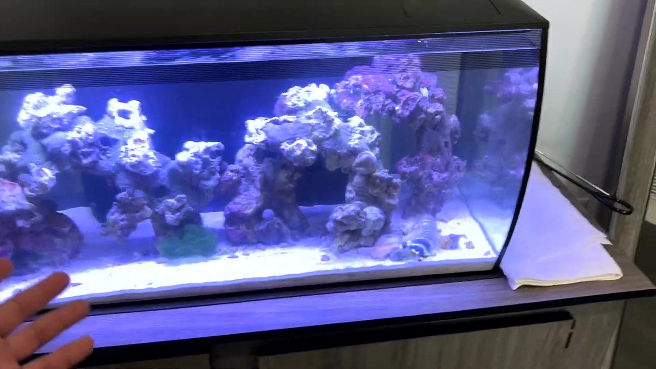 Joey Slay Em finds salt water around a cracked aquarium