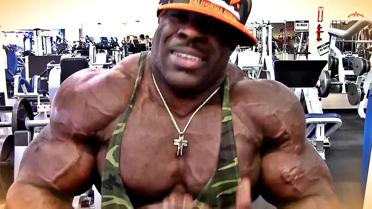 Kali Muscle returns to flat bench on push day
