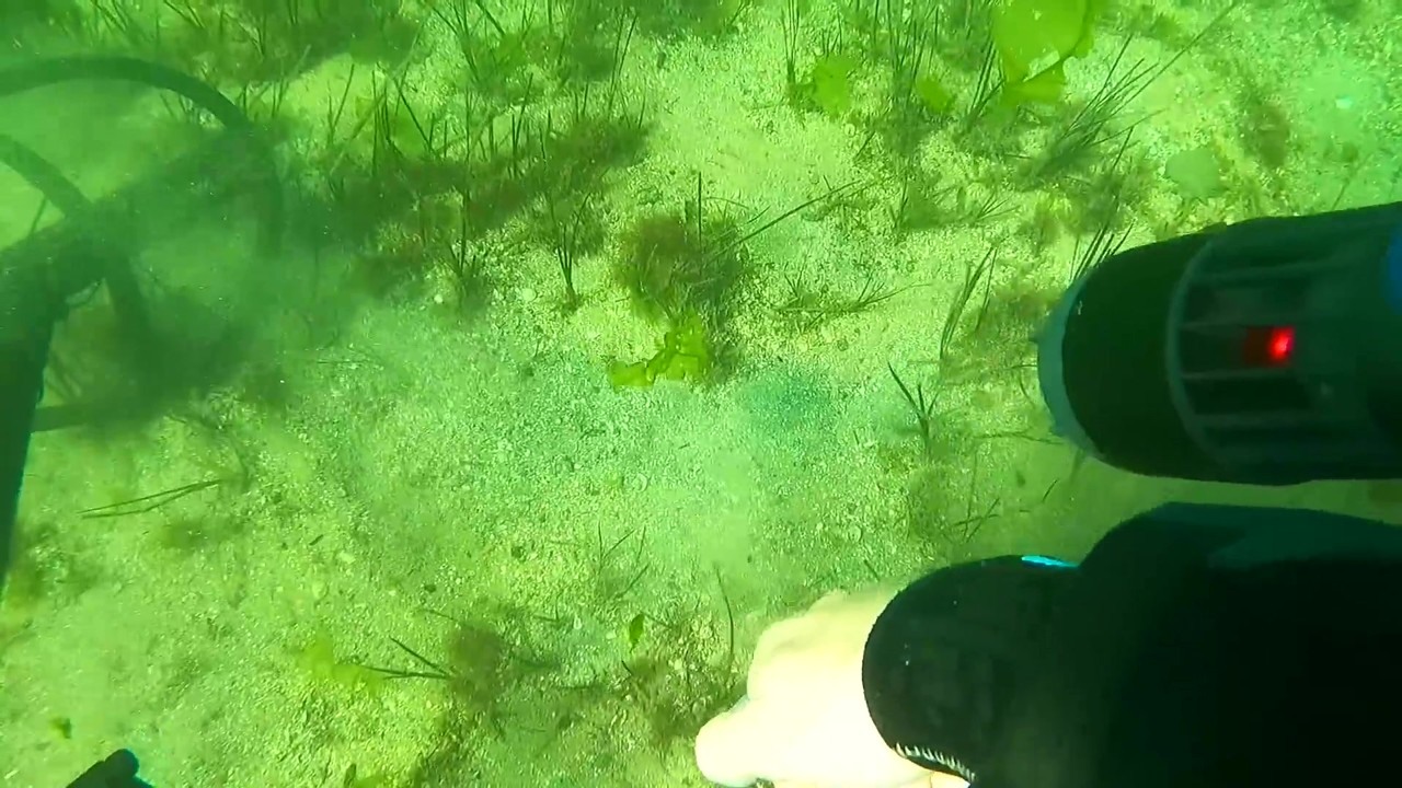 Divers search the ocean for Sebastian's lost ring from Japan