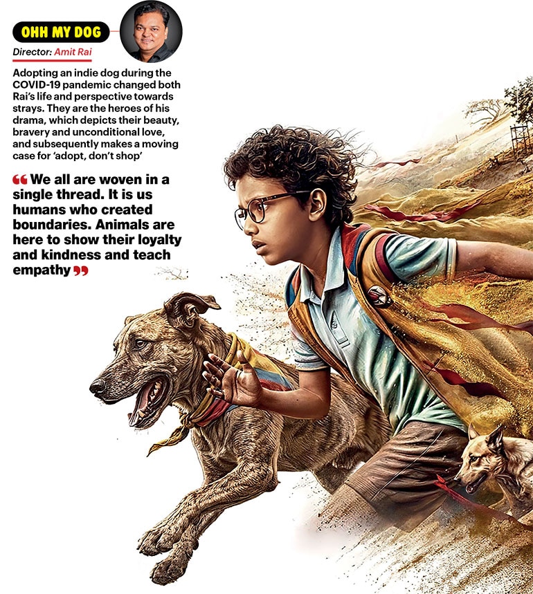 Filmdom's new pet obsession | Animals in films