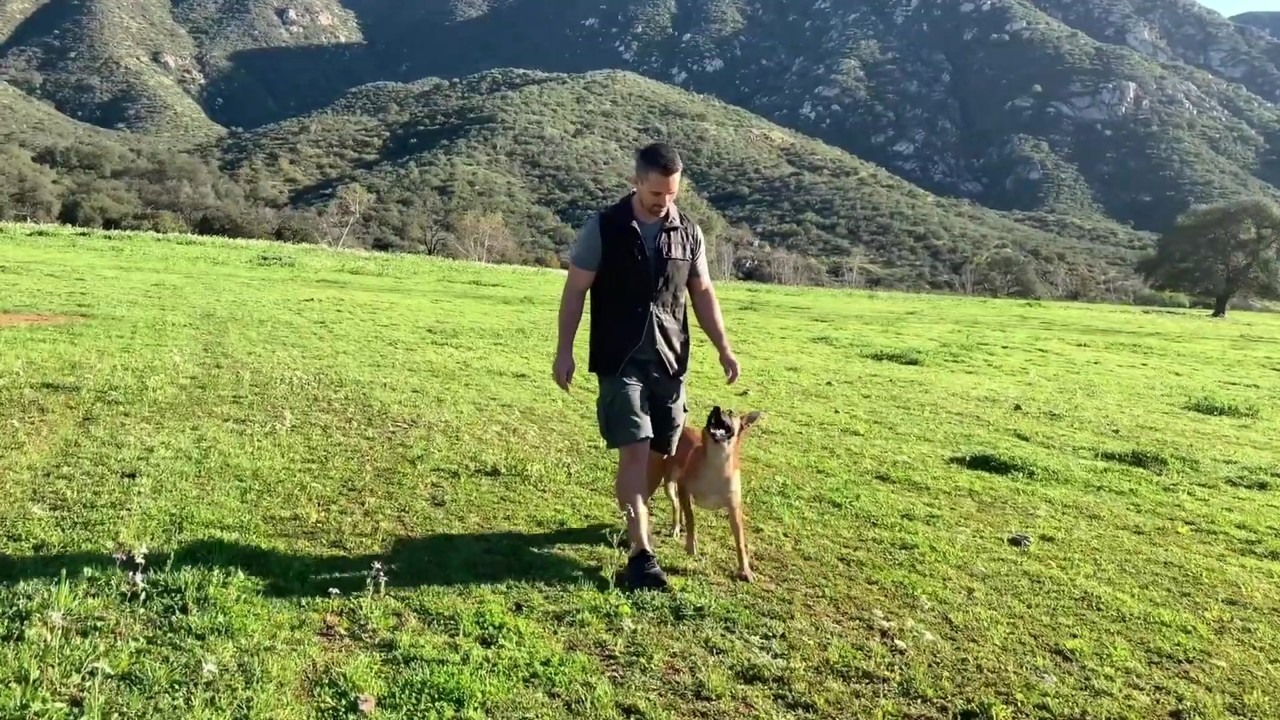 Arih the dog and Nate Schoemer’s bond beyond training