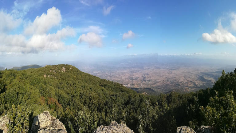 This little-known Italian village could become a new Blue Zone, thanks ...
