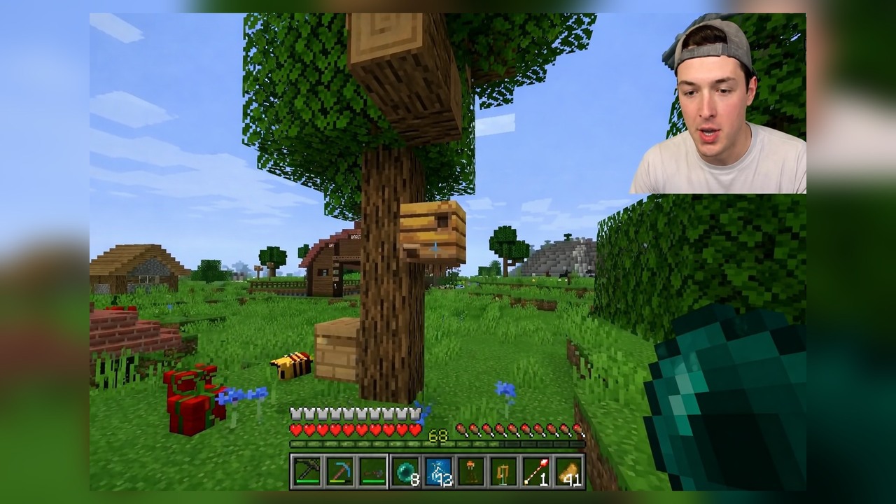 How to live inside a bee hive in Minecraft