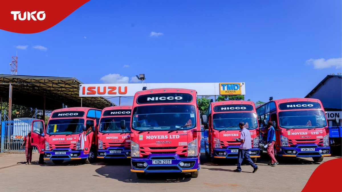 KMTC student's death: High Court gives Nicco Movers lifeline after 159 ...