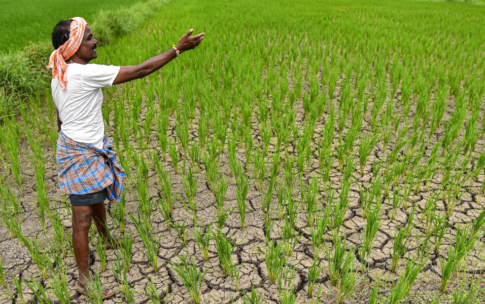 IMD study maps 70-year climate shifts across India