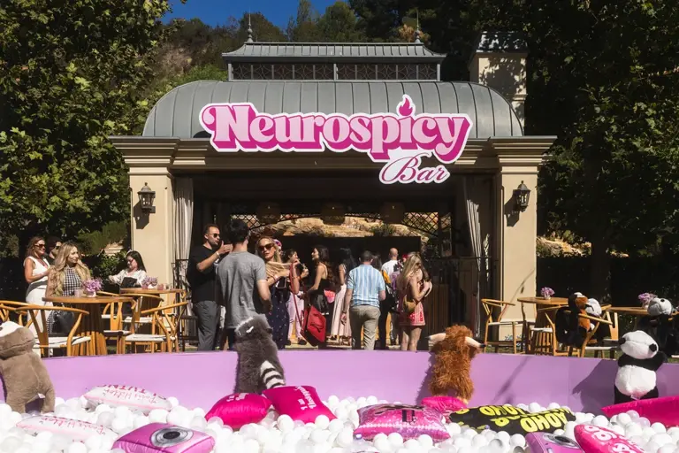 Inside Paris Hilton’s house party for celebrities and creators with ADHD