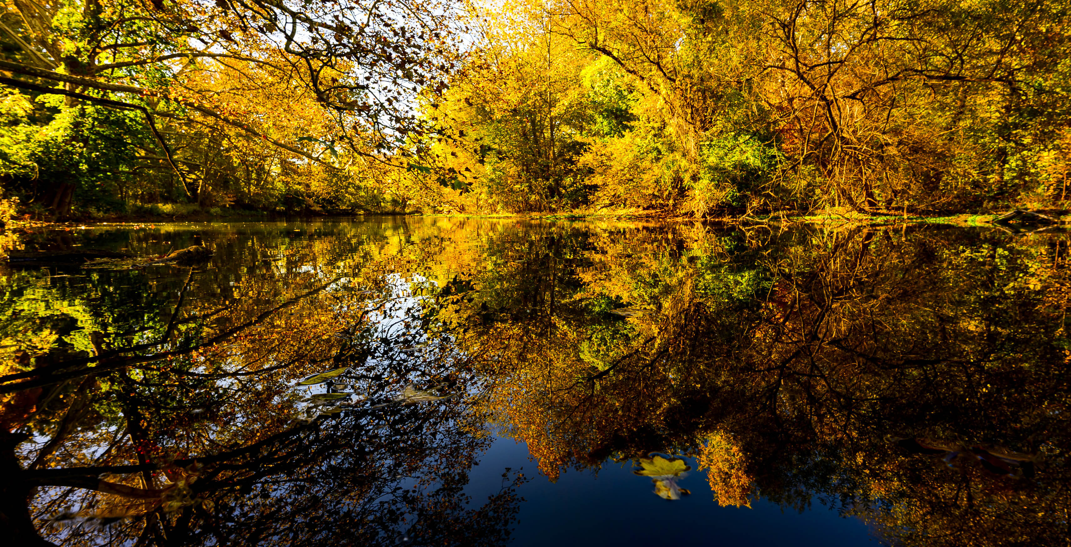 This year’s fall foliage season ‘one of the most impressive’ in recent ...