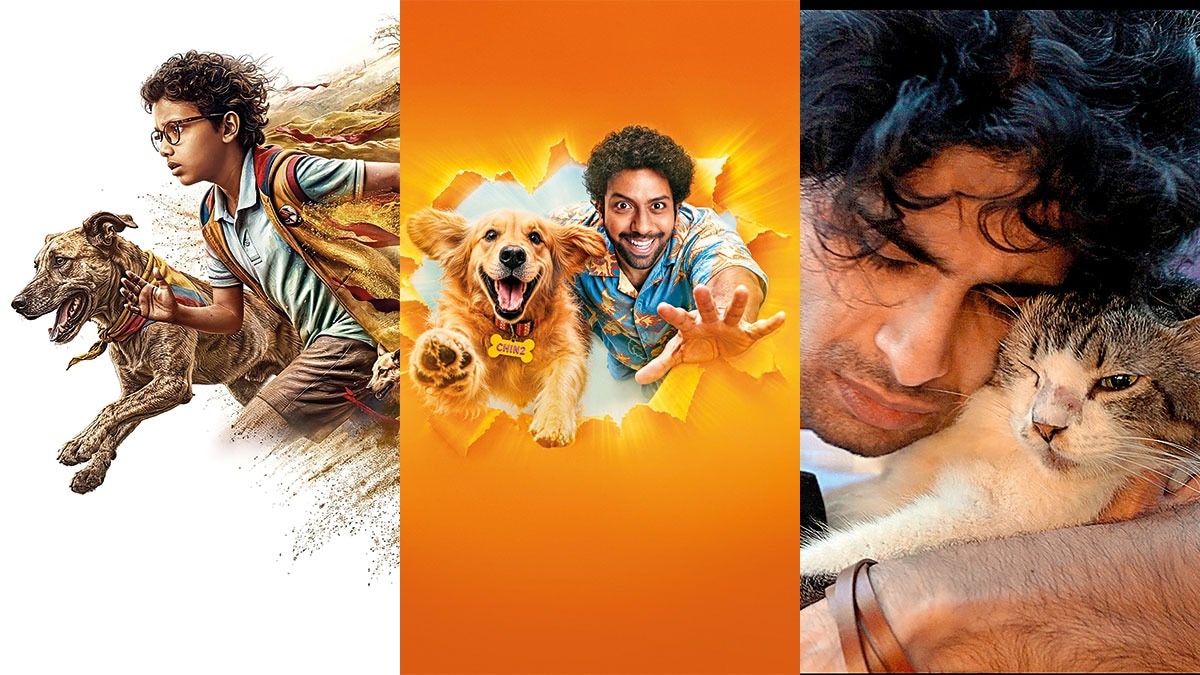 Filmdom's new pet obsession | Animals in films