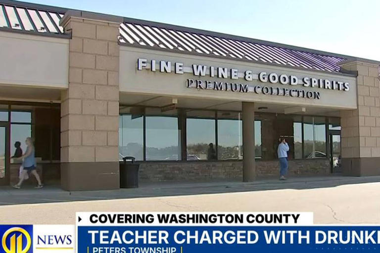 Teacher on a lunchtime booze run but crashes car, then locks herself in ...