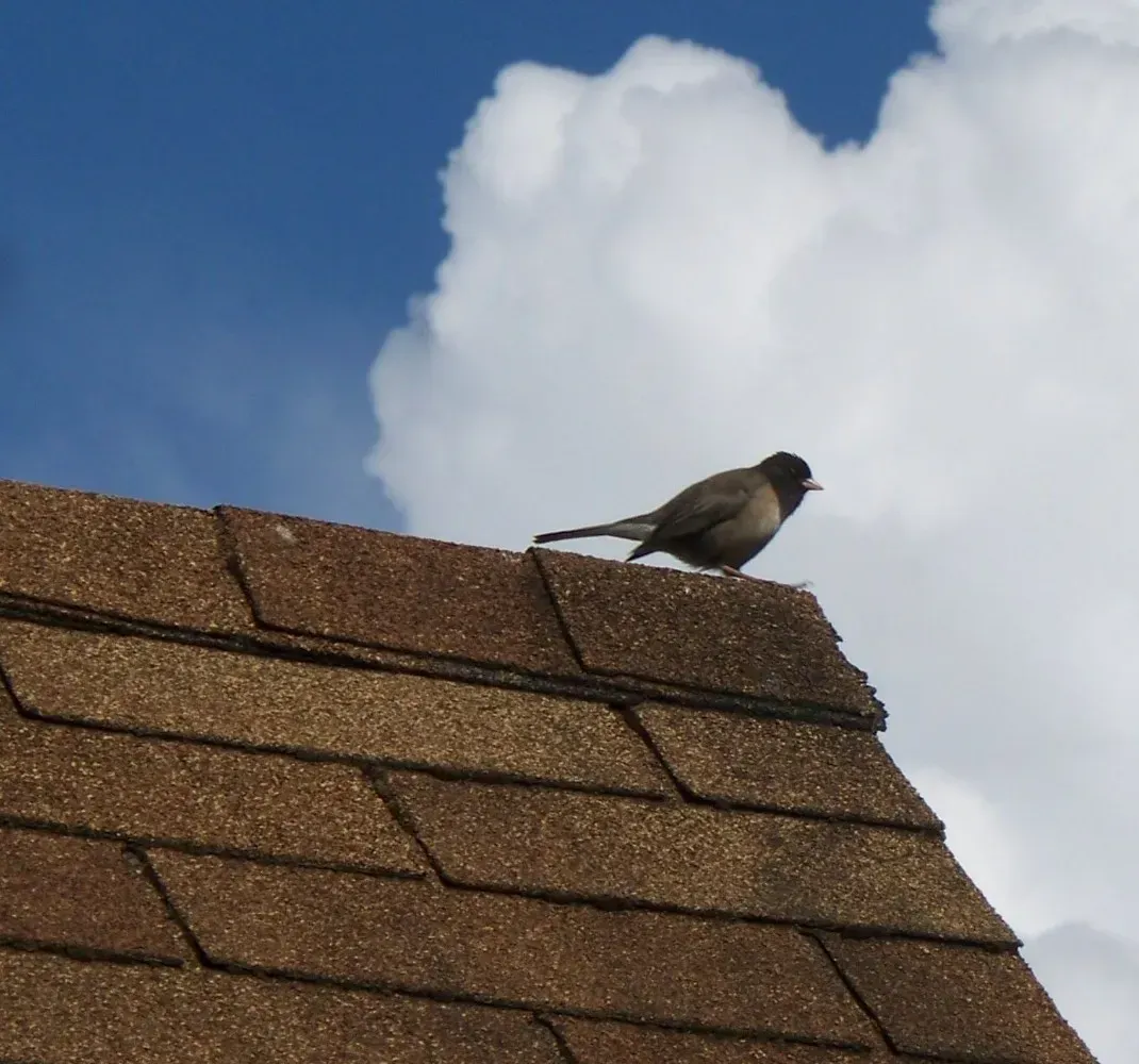 How long common home systems last, from roofs and furnaces to water ...