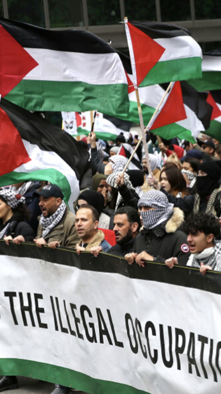 Israeli political commentator Eylon Levy says it’s bizarre that Israel ...