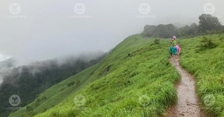 Ranipuram trek guide: Through Kasaragod’s misty hills and forest trails