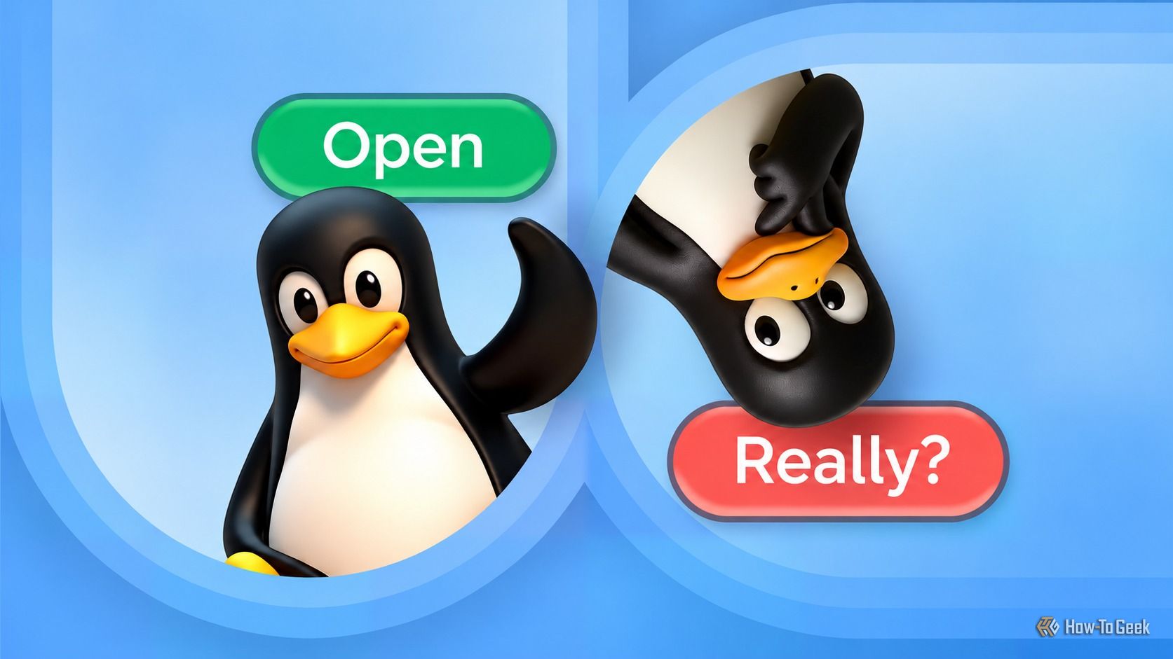 These Linux distros claim to be open source, but they're barely even close