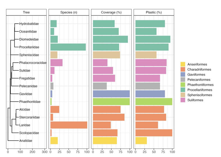 Seabird family tree predicts which species accumulate plastic better ...