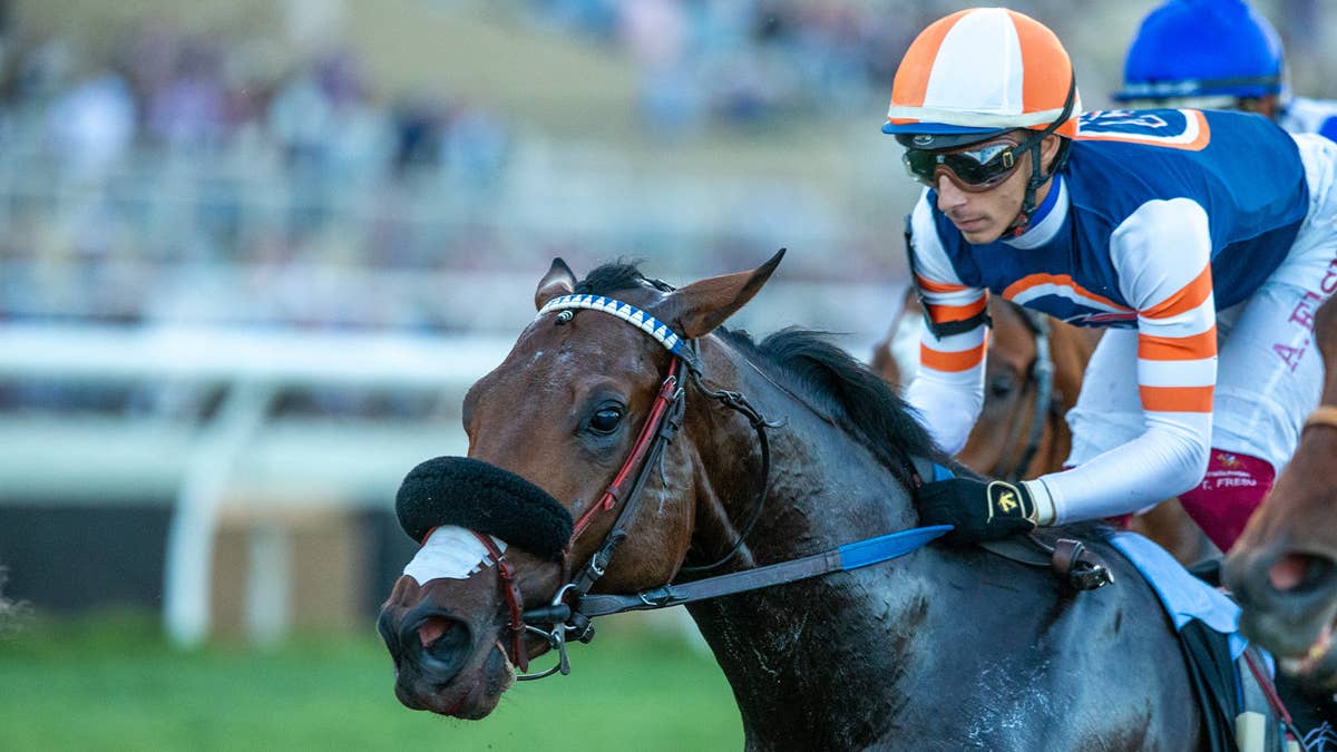 Phil D'Amato's Breeders' Cup hopefuls lead Santa Anita work tab