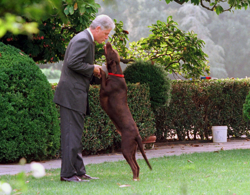 Bill Clinton is kissed by his dog, Buddy, in the Rose Garden in 1998. / Rick Wilking / Rick Wilking/REUTERS