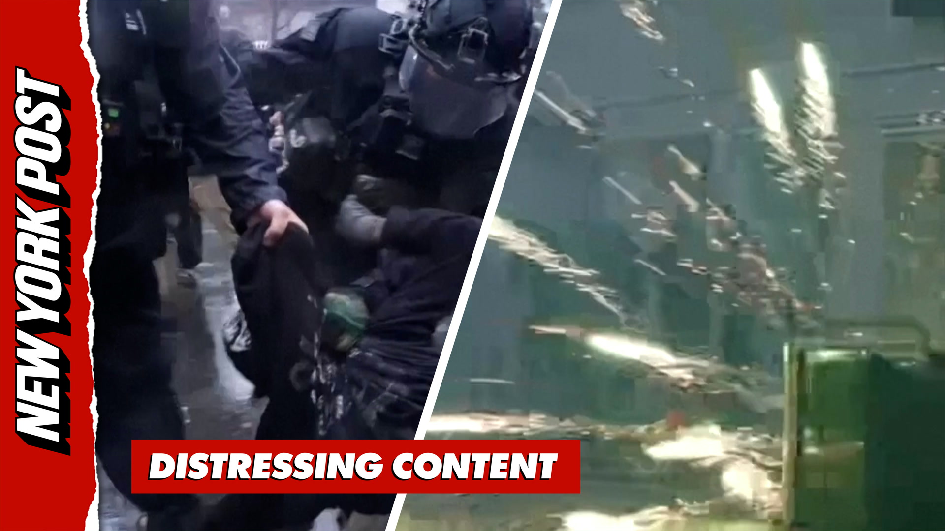 Most dramatic moments from Paris riots as protesters are dragged and ...