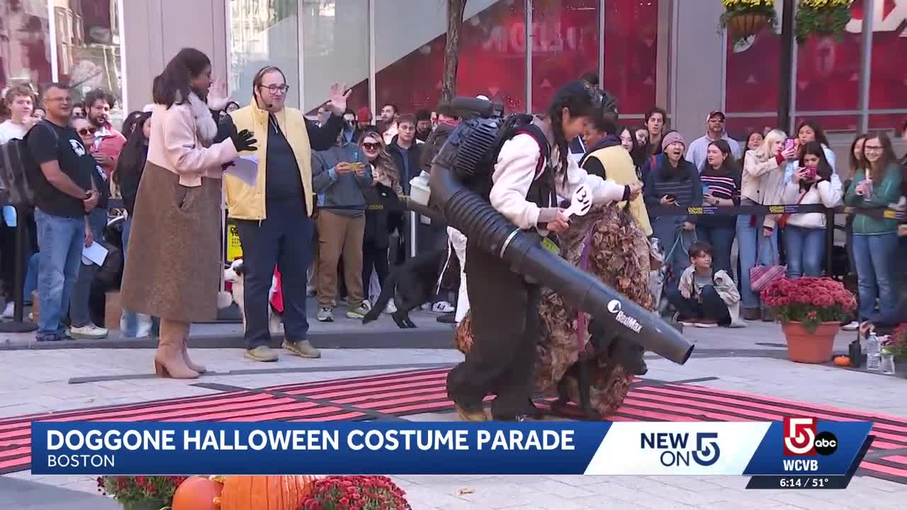 Boston dogs strut their stuff in Halloween costume parade