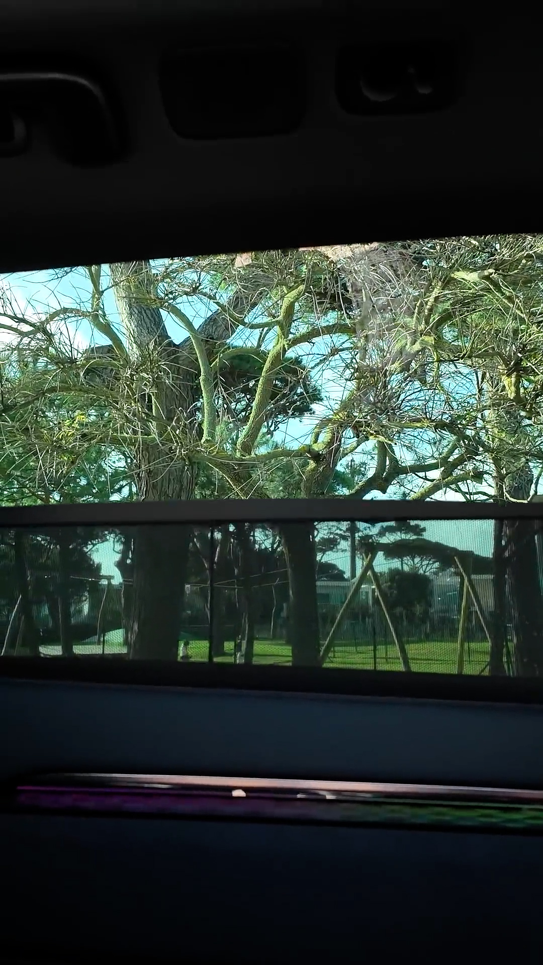Car features dedicated sunshades for rear passengers
