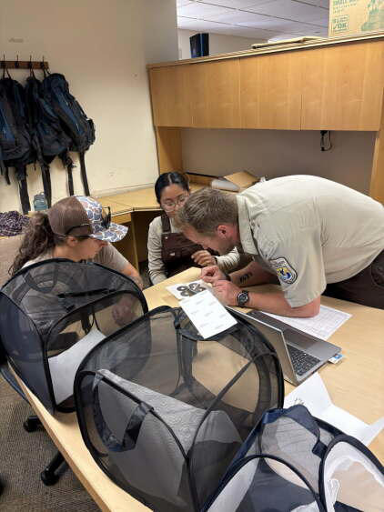 Oklahoma monarch butterflies tracked on 1,000-kilometer migration