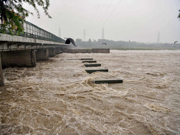 Delhi plans Yamuna riverfront project
