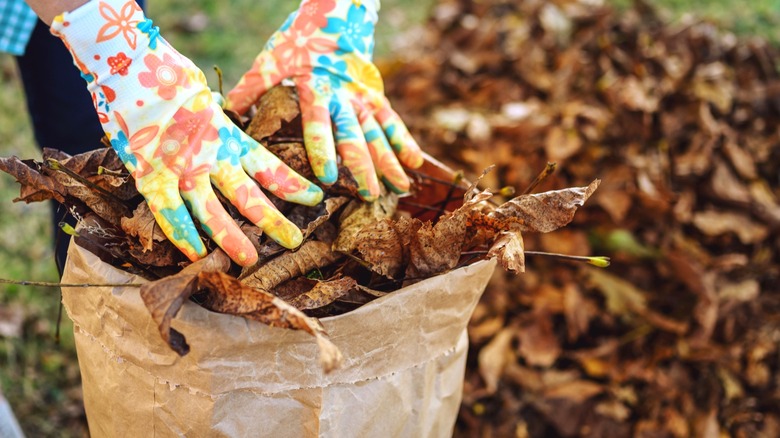 Save time bagging leaves: The easy leaf collector find from Lowe's that ...