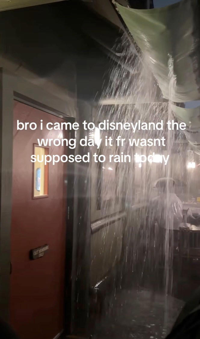 Freak floods hit Disneyland as guests left scrambling for higher ground ...