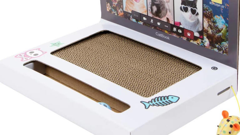 Chewy's laptop cat scratcher gives your distracting kitty coworker ...
