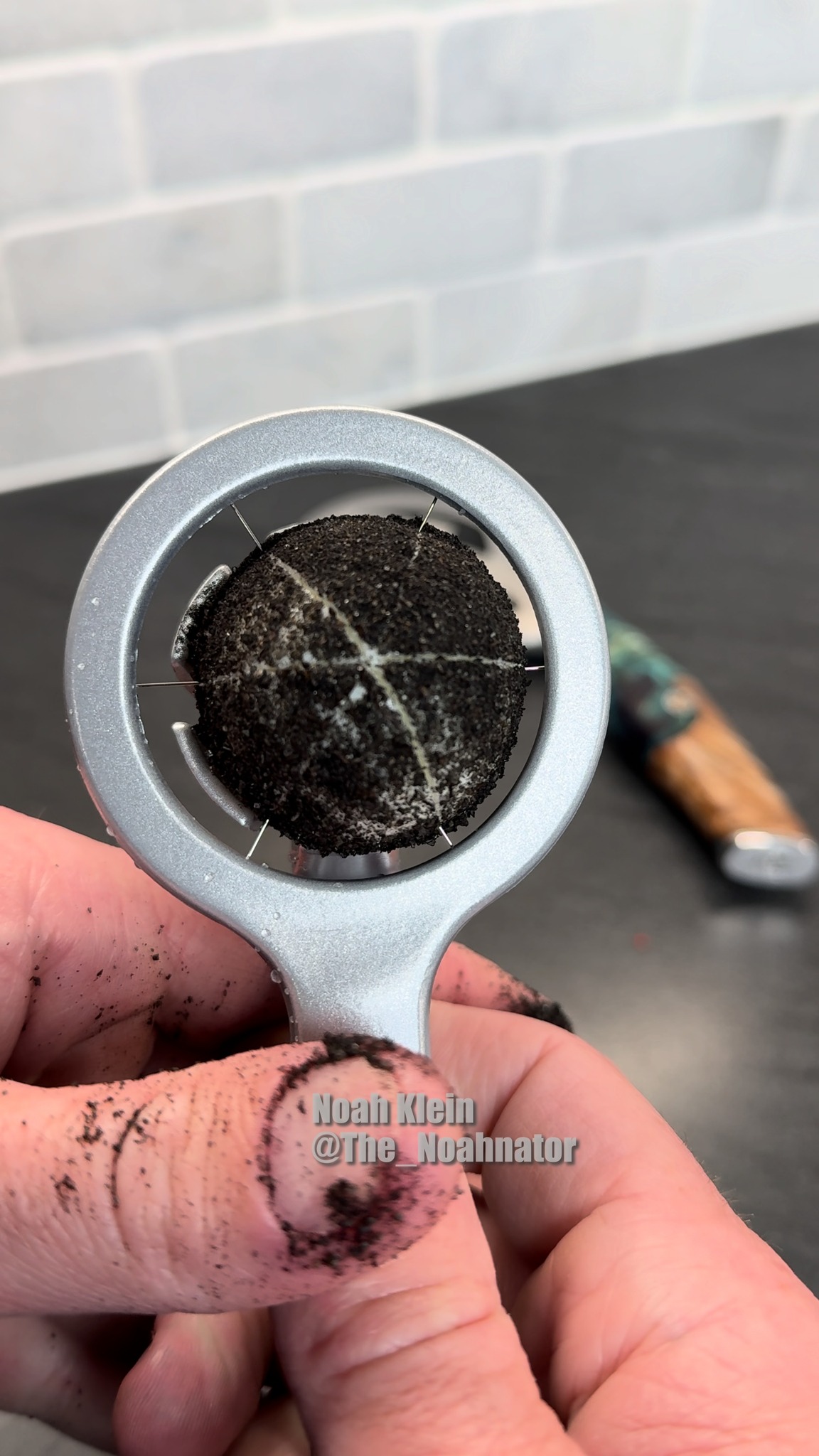 Snake egg vs. egg slicer
