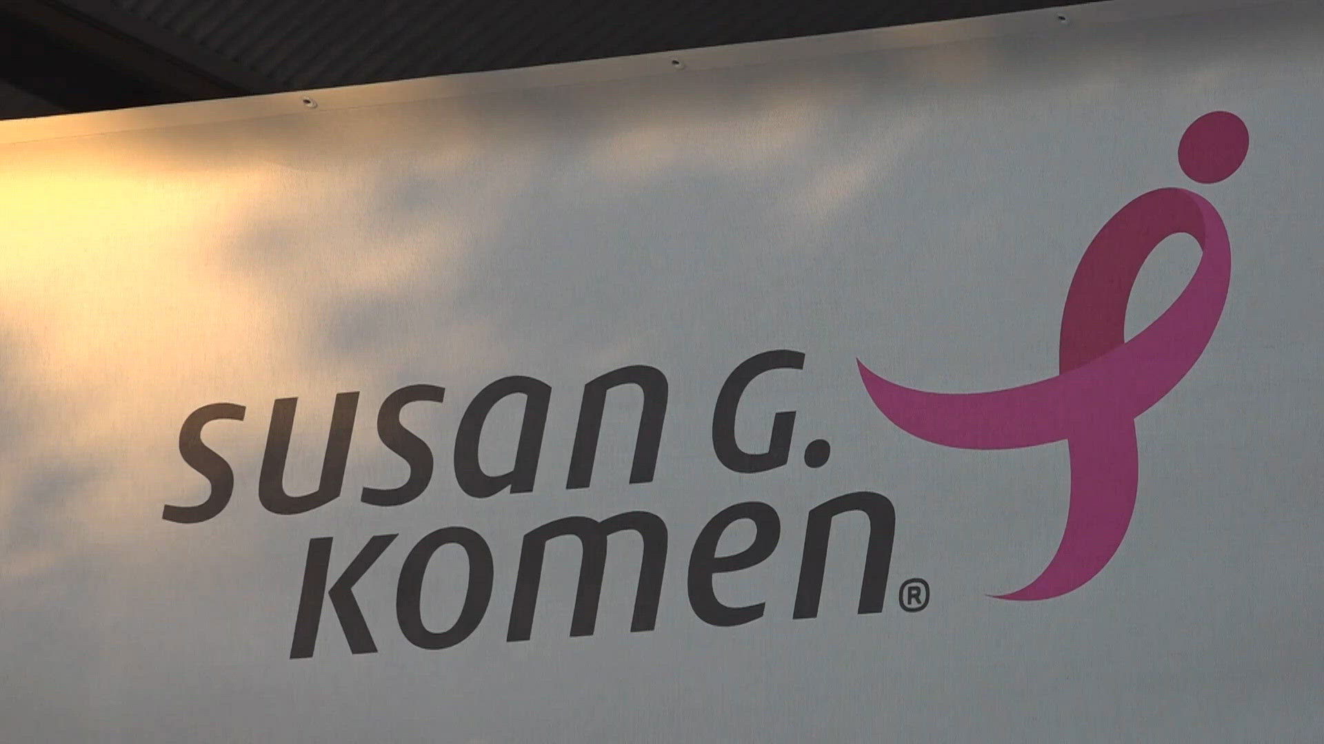 Breast cancer survivors gather for annual Susan G Komen 'More Than Pink ...