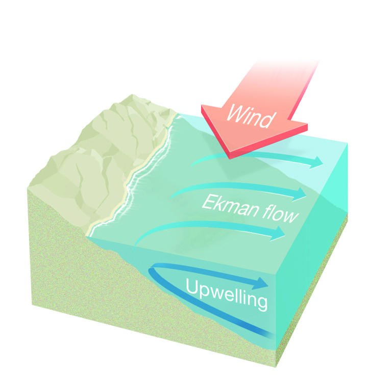 Why ocean temperatures have dropped dramatically along the Sydney and ...