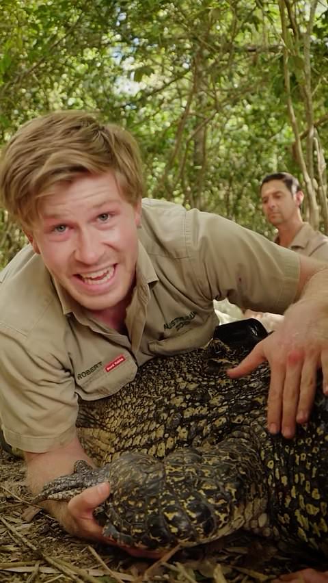 Robert Irwin names his new saltwater croc after Prince William