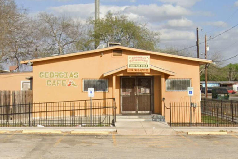 Insects, rotting meat, bloody floors and more found in San Antonio food ...