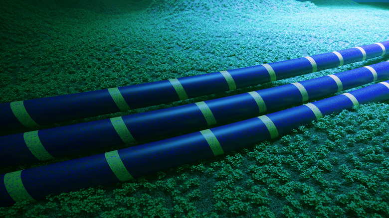 2,800 mile undersea data cable plan leaves the US out in the cold